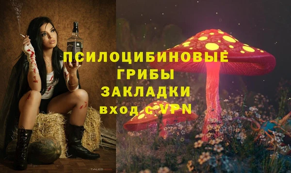 a pvp Алексеевка