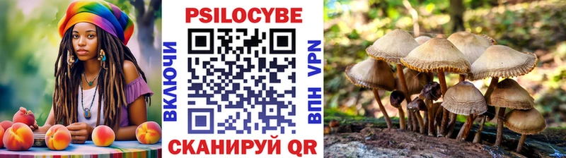 Галлюциногенные грибы Magic Shrooms  Болгар 